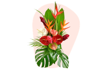 Bouquet tropical exotique avec anthuriums et oiseaux du paradis chez fleuriste-montauban à Montauban