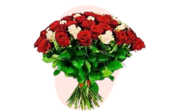 Bouquet de roses rouges et blanches élégantes, création fleuriste-montauban à Montauban