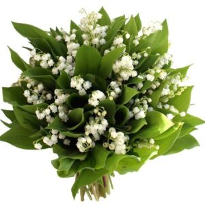 Bouquet de muguet