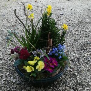 Coupe de plantes