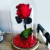 Rose éternelle sous cloche
