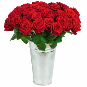 Roses du dernier adieu